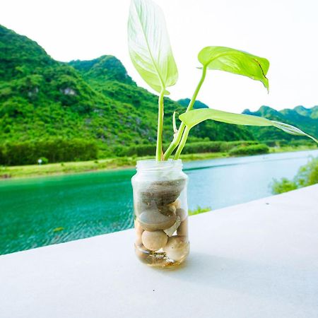 Phong Nha A Little Leaf Homestay Экстерьер фото