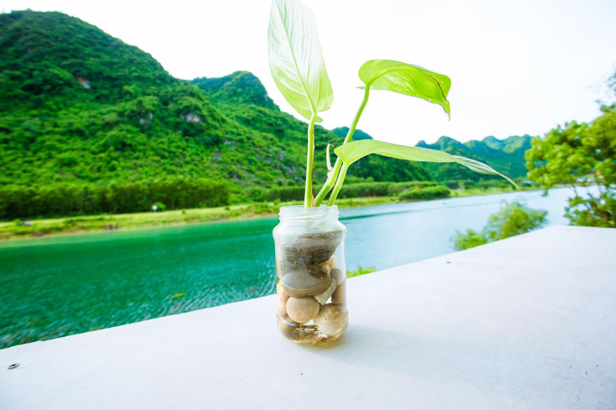 Phong Nha A Little Leaf Homestay Экстерьер фото