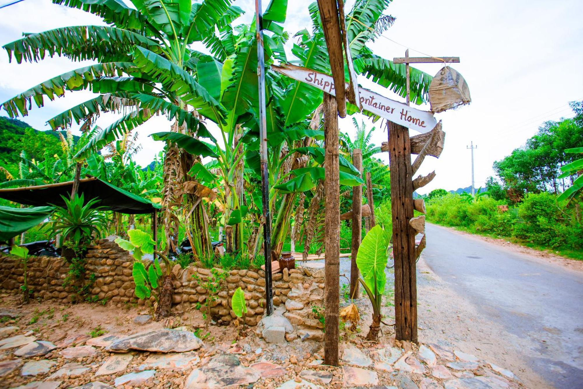 Phong Nha A Little Leaf Homestay Экстерьер фото