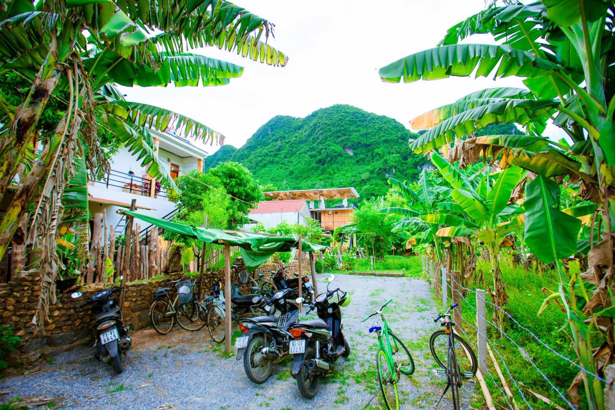 Phong Nha A Little Leaf Homestay Экстерьер фото