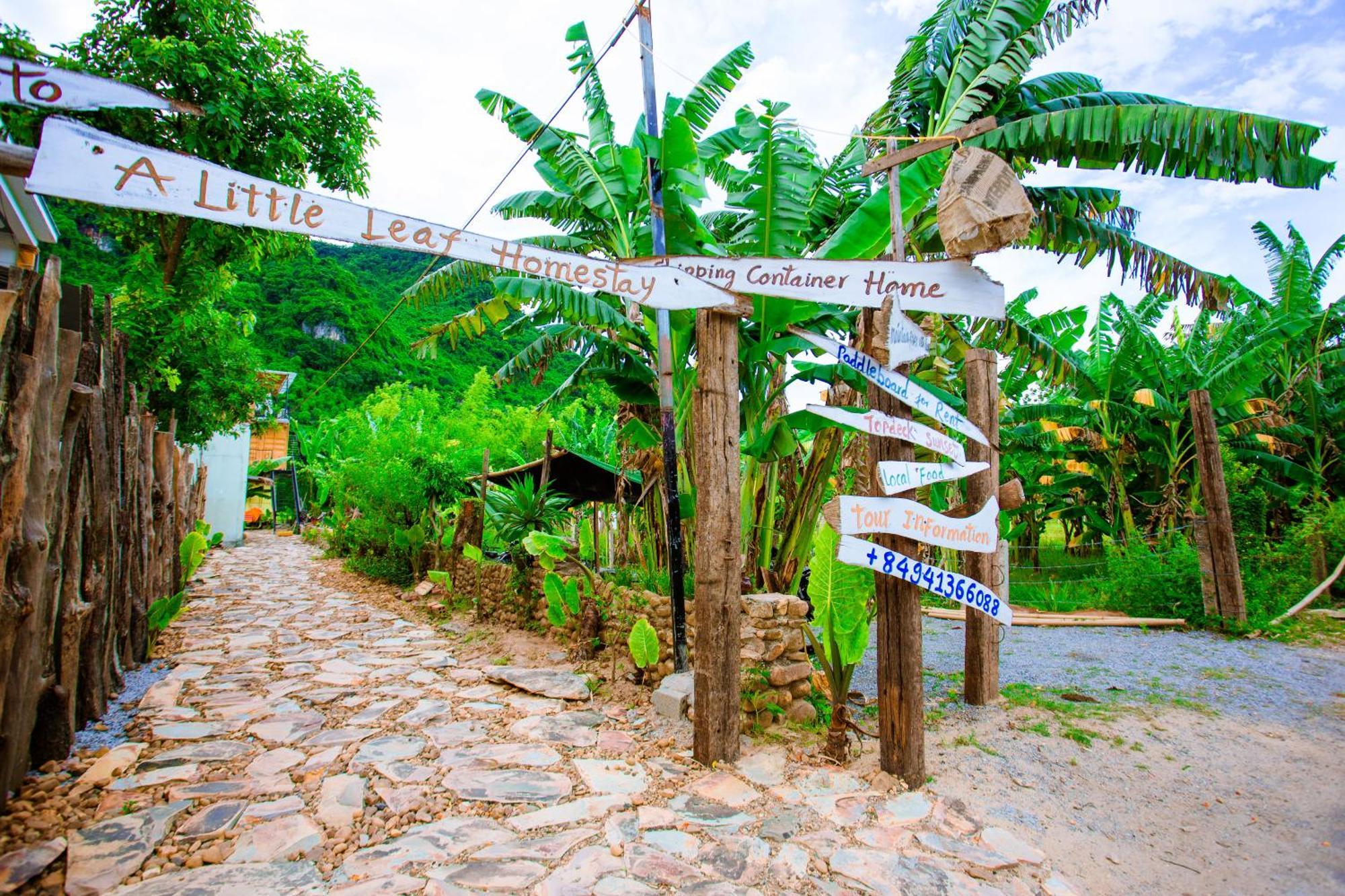 Phong Nha A Little Leaf Homestay Экстерьер фото